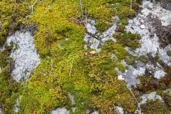 AlanKlughammer.com_20240824-_8505687