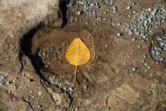 AlanKlughammer.com_20240927-_8505822