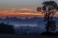 AlanKlughammer.com_20241013-_8505928-HDR