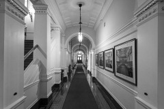 AlanKlughammer.com_20250124-_AZ70926