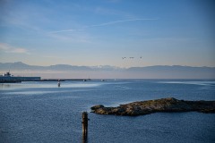 AlanKlughammer.com_20250126-_AZ71061