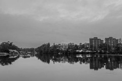 AlanKlughammer.com_20250202-_AZ71162