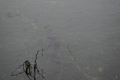 Winter in Victoria