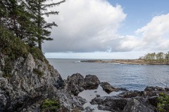 AlanKlughammer.com_20250331-_AZ71627