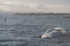 AlanKlughammer.com_20250401-_AZ72024