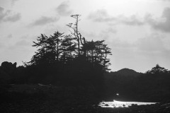 AlanKlughammer.com_20250401-_AZ72458
