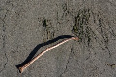 AlanKlughammer.com_20250402-_AZ72633