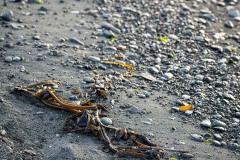 AlanKlughammer.com_20250419-_AZ73114