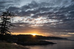 AlanKlughammer.com_20250601-_AZ73291