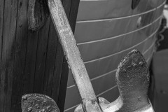 AlanKlughammer.com_20250830-_8506192