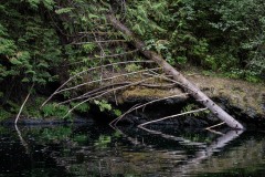 AlanKlughammer.com_20250911-_AZ74431