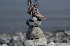 AlanKlughammer.com_20250912-_AZ74467