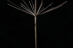 AlanKlughammer.com_20250913-_AZ74622