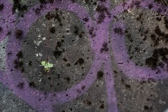 AlanKlughammer.com_20250913-_AZ74631