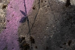 AlanKlughammer.com_20250913-_AZ74636