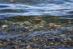 AlanKlughammer.com_20250915-_AZ74740