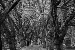 AlanKlughammer.com_20251011-_8506296