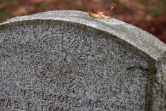 AlanKlughammer.com_20251011-_8506325