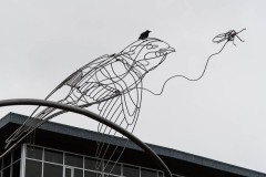 AlanKlughammer.com_20251122-_8506494
