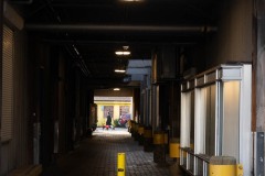 AlanKlughammer.com_20251229-_AZ75180