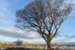 AlanKlughammer.com_IMG_1678