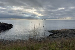AlanKlughammer.com_IMG_1708
