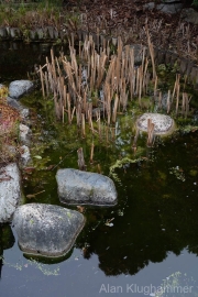 AlanKlughammer.com_20260101-_AZ75301