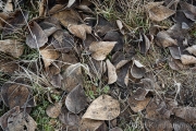 AlanKlughammer.com_20260125-_AZ75481