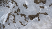 AlanKlughammer.com_20260125-_AZ75496