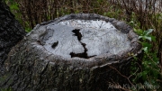 AlanKlughammer.com_20260201-_AZ75512