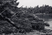 AlanKlughammer.com_20260924-_AZ78687