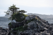 AlanKlughammer.com_20260925-_AZ78770