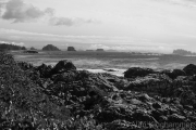 AlanKlughammer.com_20260925-_AZ78778