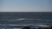 AlanKlughammer.com_20260925-_AZ78782