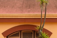 Spanish Bodega