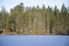 AlanKlughammer.com_20130119-_DSC0124-2