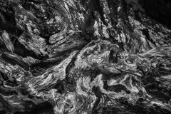 AlanKlughammer.com_20150314-_AKP6779-Edit