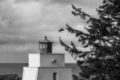 AlanKlughammer.com_20250331-_AZ71656