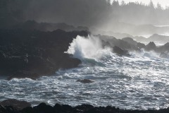 AlanKlughammer.com_20250401-_AZ72204