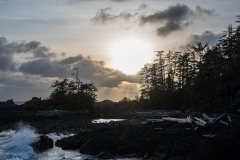 AlanKlughammer.com_20250401-_AZ72528