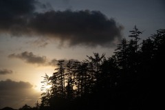 AlanKlughammer.com_20250401-_AZ72594