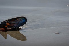AlanKlughammer.com_20250402-_AZ72688