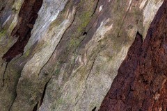 AlanKlughammer.com_20250403-_AZ72758